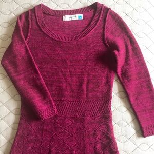 Anthropologie dark pink sweater dress